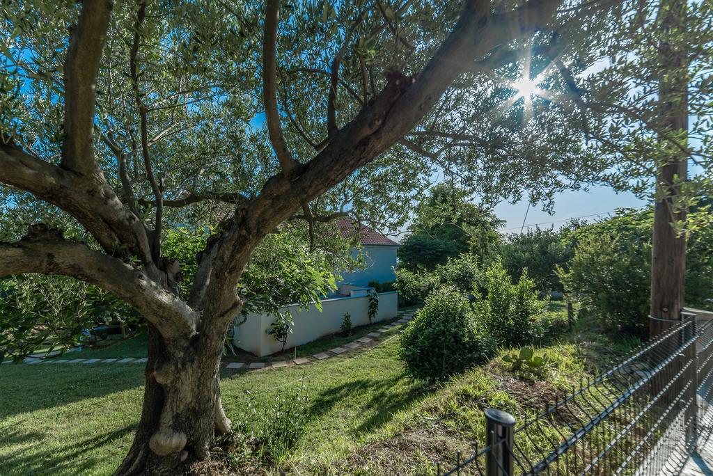 Apartment Robinson Podvrsje Экстерьер фото